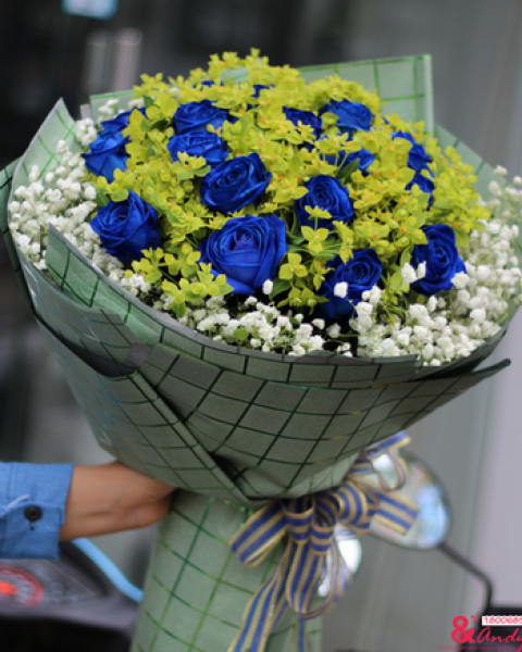 Blue rose